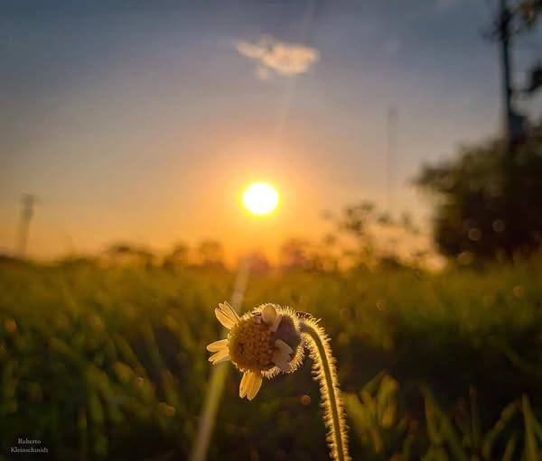 Inimigo do amor e da felicidade! Quem?
