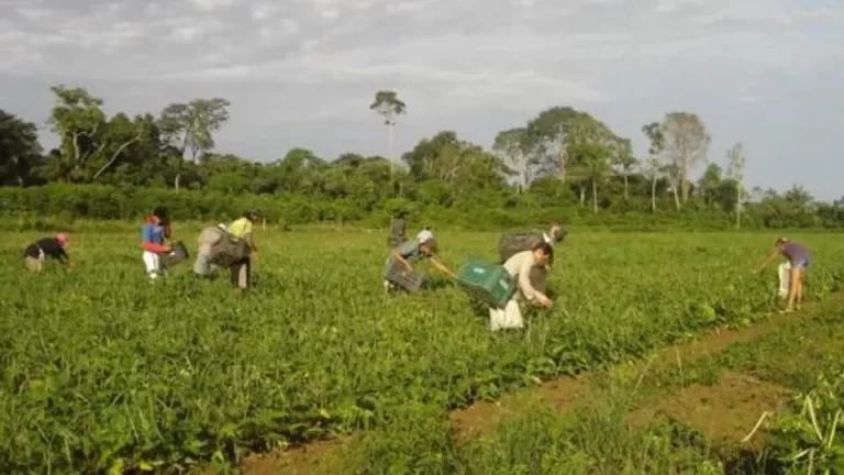 Delegacias especializadas em conflitos agrários são aprovadas em Comissão da Câmara