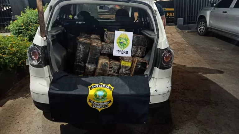 Polícia apreende 341 quilos de maconha e recupera veículo furtado em ação conjunta em Toledo