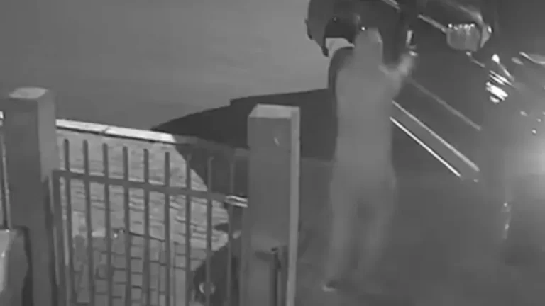 Família é vítima de assalto à mão armada em município da região; veja o vídeo