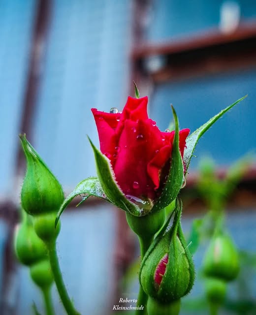 Mudança e significado