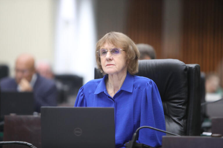 Deputada Luciana Rafagnin encaminha à ANEEL denúncia contra a Copel