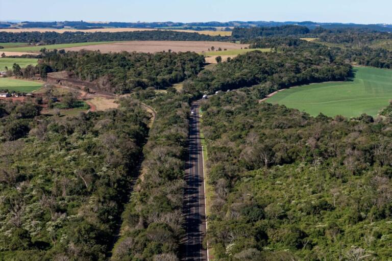 Lote 6 das concessões terá duplicação de Cascavel a Nova Laranjeiras e novos viadutos