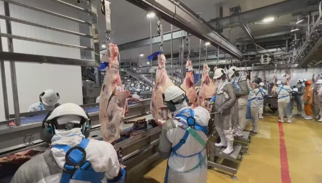 Mercados asiáticos compraram 60% da carne bovina exportada do Paraná em 2024