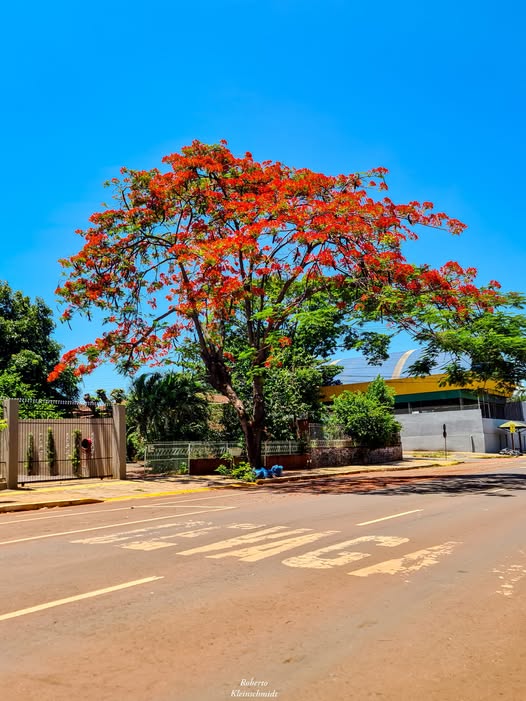 Pause, se for preciso