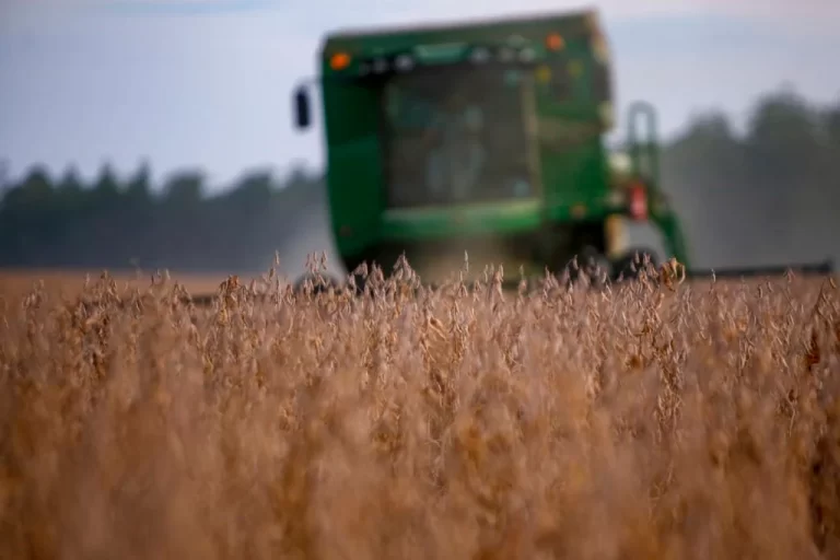 Federação da Agricultura do Paraná completa 60 anos em 2025 e programa um ano inteiro de comemoração