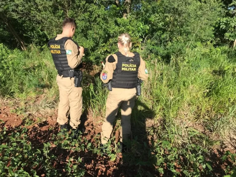 Ossada humana é encontrada em área de mata em Marechal Rondon