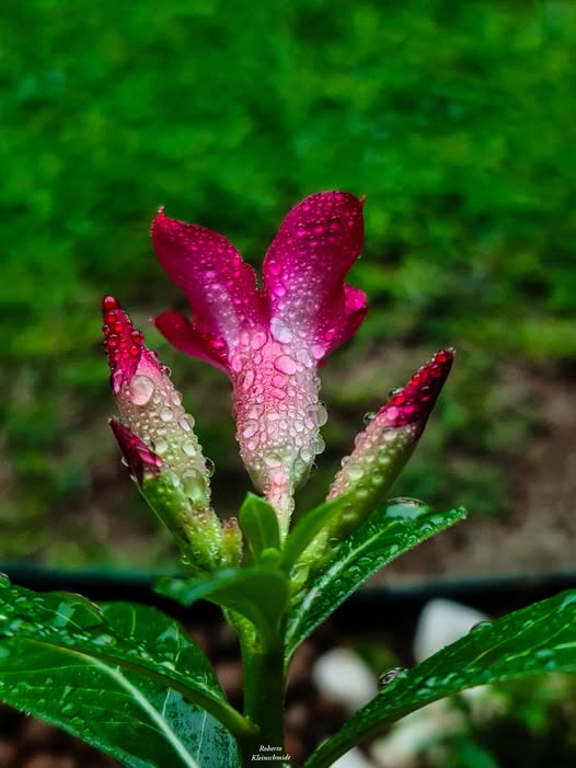 A vida é um instante