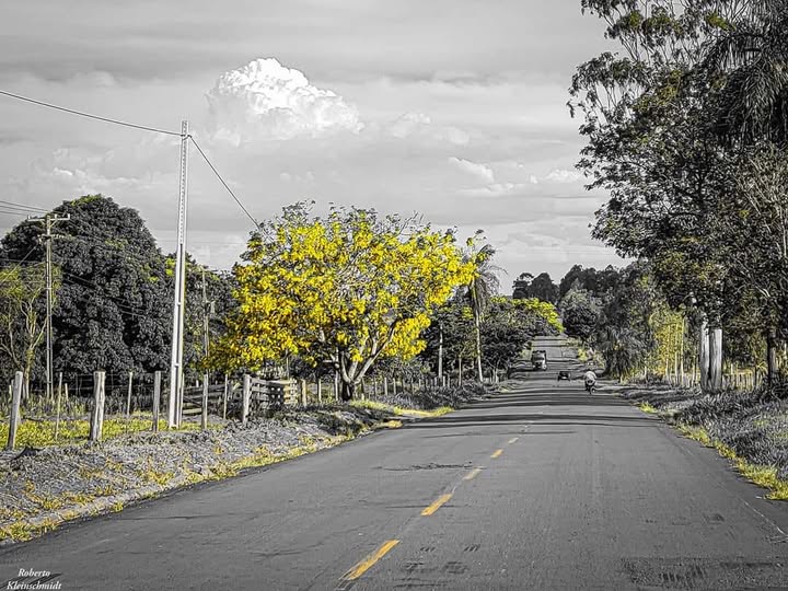 Ouse, tente, invente