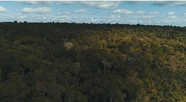 Justiça Federal proíbe ocupações de indígenas no Parque Nacional do Iguaçu após pedido do ICMBio
