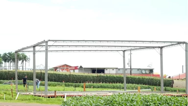 Show Rural: empresas expositoras iniciam montagem dos estandes em Cascavel