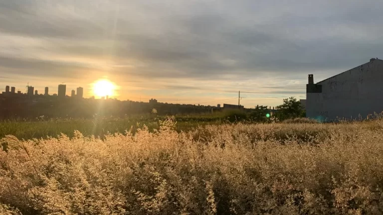 Fim de semana no Oeste do Paraná terá sol, calor e chuvas no domingo