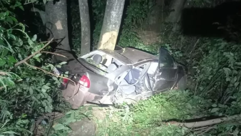 Meninos de 12 anos morrem em grave acidente na PR-281