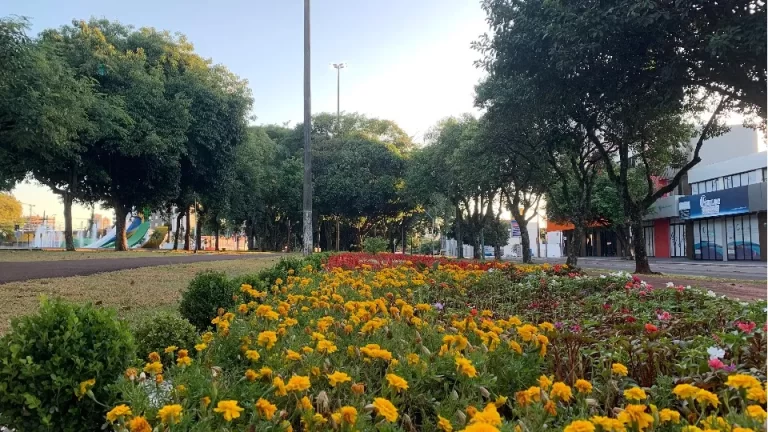 Calor e pancadas de chuva isoladas marcam a quinta-feira no Oeste do Paraná