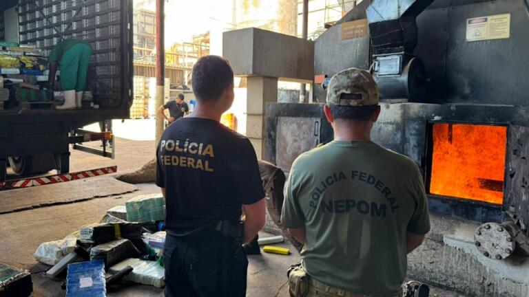 Cerca de 10 toneladas de drogas são destruídas em Guaíra