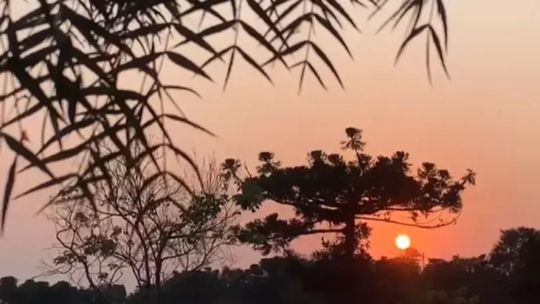Calor intenso e chuvas isoladas marcam a previsão do tempo no Paraná e região Oeste