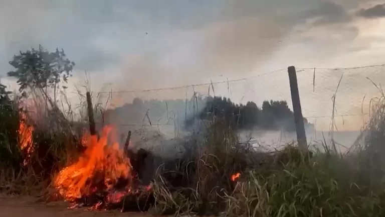 Multas por crimes ambientais crescem mais de 20% no Paraná