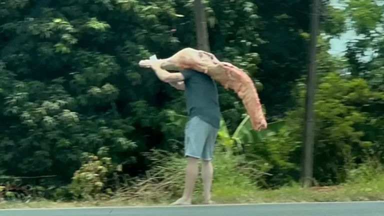 Caminhão carregado com carnes tomba e tem carga saqueada 