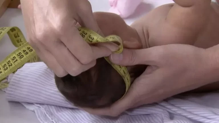 Zika: sequestro de gene após infecção causa microcefalia, aponta estudo