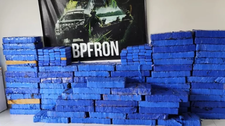 Quase 1,5 tonelada de maconha é apreendida em área de mata em Francisco Alves