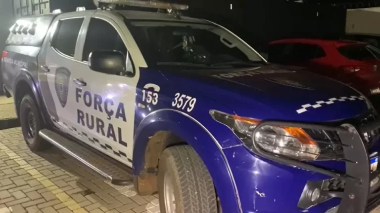 Força Rural da GM prende dois jovens com caminhonete furtada na BR-277