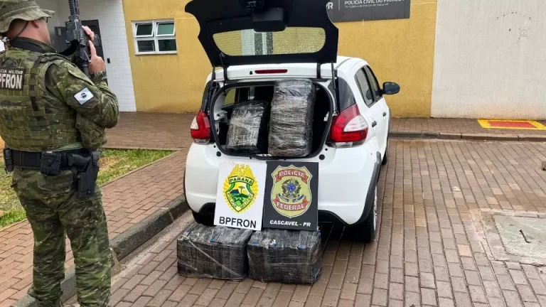 Quase 90 quilos de maconha são apreendidos em Santa Tereza do Oeste