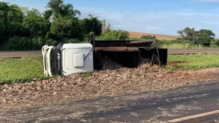 Carreta tomba e carga de peixe fica espalhada na BR-163