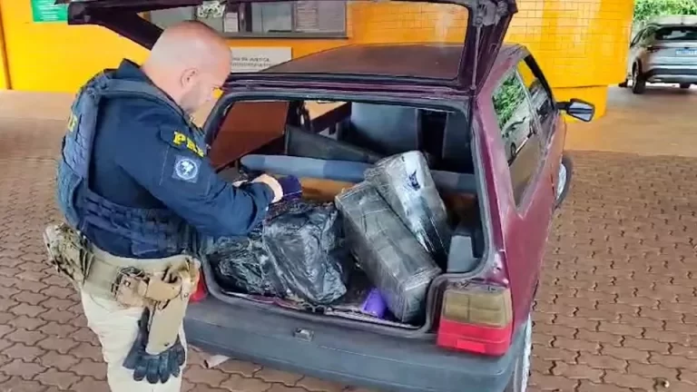 Mais de 100 quilos de maconha são apreendidos na BR-277