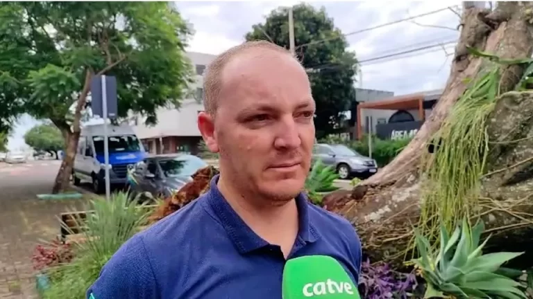 Me acordei no susto quando a árvore caiu, conta motorista de carro