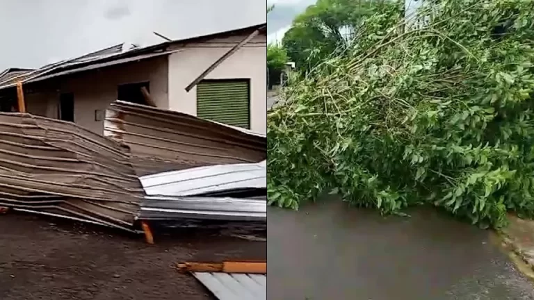 Temporal em Foz do Iguaçu: ventania destelha casas e derruba árvores