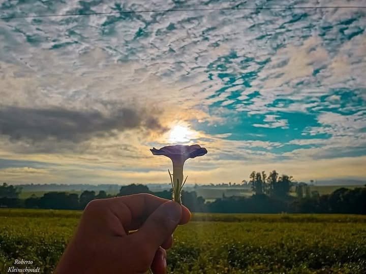 A vida é uma viagem