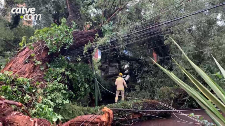 Temporal deixa rastro de destruição no Centro de Cascavel; veja vídeo