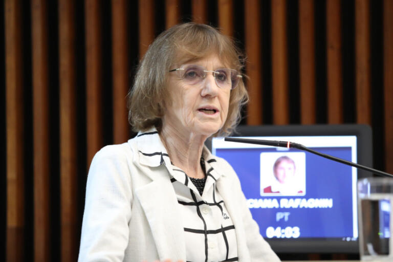 Projeto da deputada Luciana Rafagnin propõe alerta imediato do desaparecimento de crianças e adolescentes