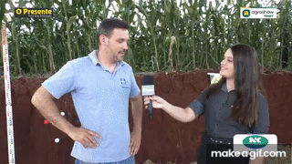 Novidade do Agroshow, Trincheira de Demonstração de Cultivos é um espaço de interação e aprendizado