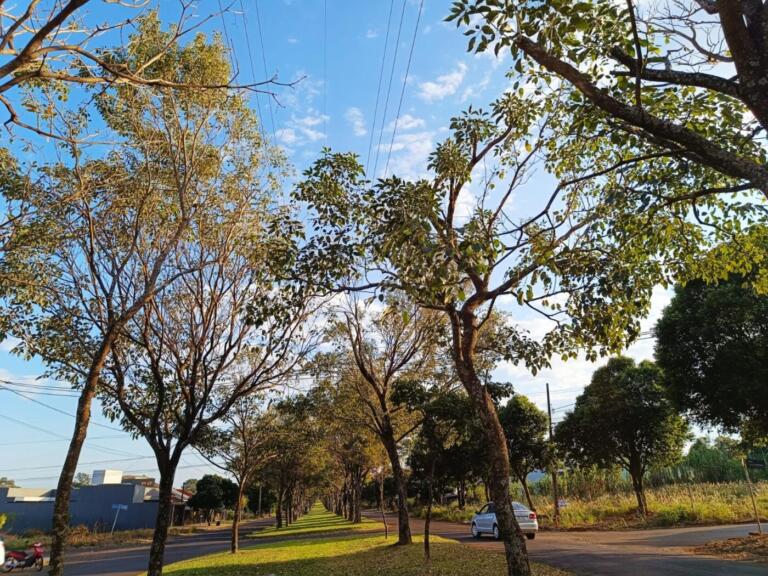 Sexta-feira com predomínio de sol e máxima de 30°C em Marechal Rondon