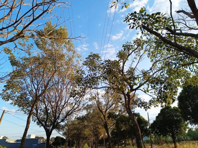 Fim de semana será de chuva e temporais em todo Paraná; Marechal deve registrar 32ºC