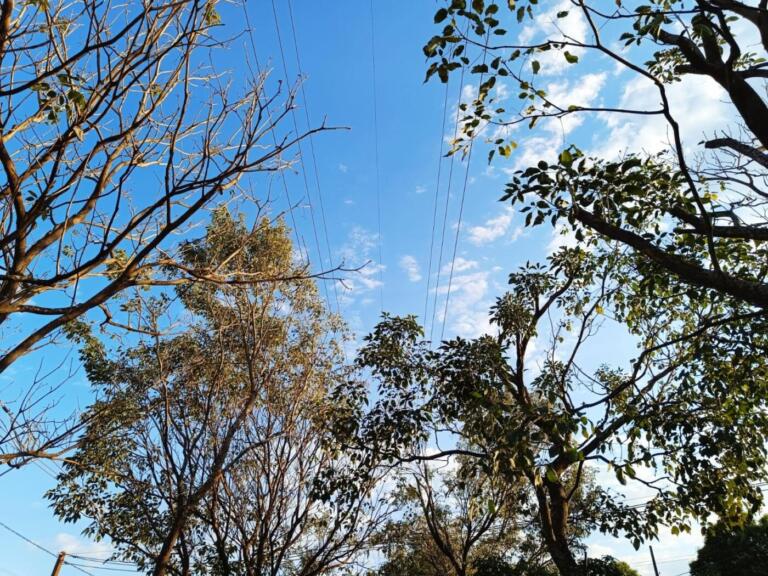 Segunda-feira inicia com tempo estável em Marechal Rondon e sensação térmica de 14°C