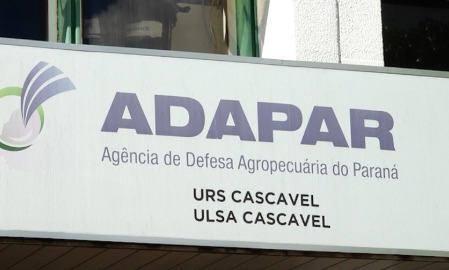 Casos de raiva em bovinos aumentam no Paraná, com quatro mortes registradas em 2024