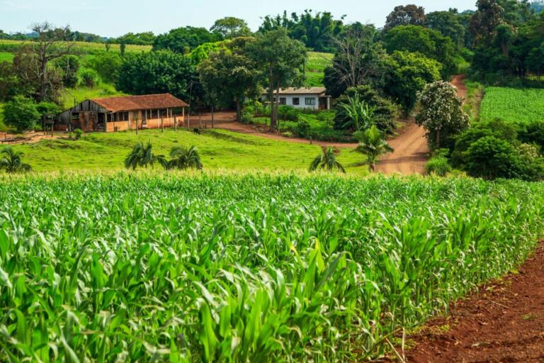 Itaipu apresenta projeto “Expansão das ações de ATER” para organizações da agricultura familiar