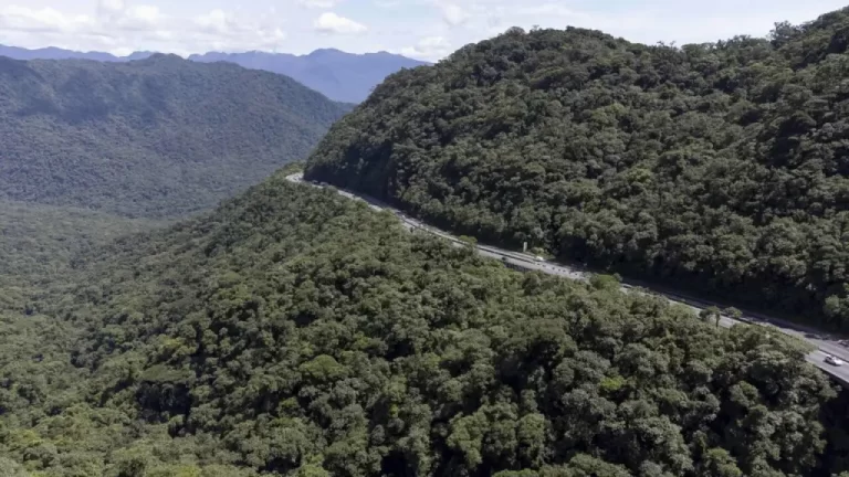 BR-277, no Litoral do Paraná, teve mais de 600 mil veículos no fim de ano e nascimento de um bebê