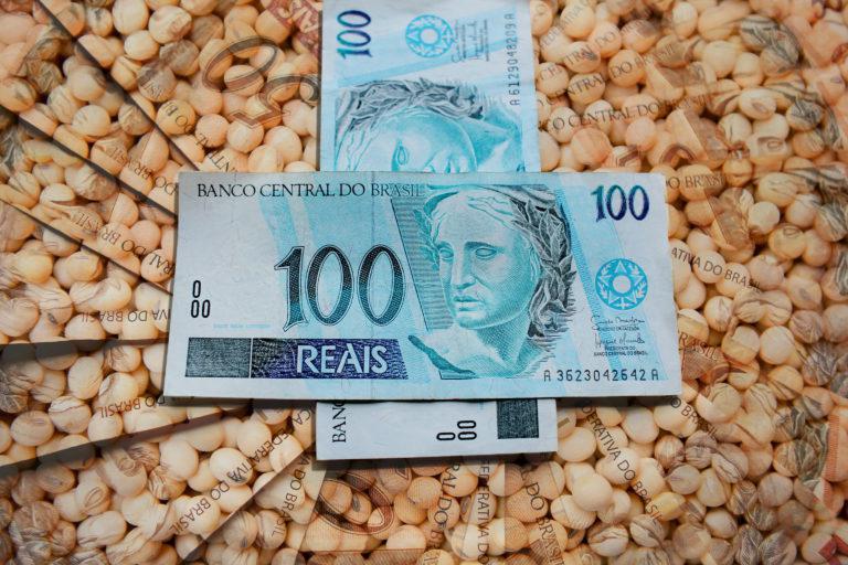 Soja: clima para plantio carrega incertezas nos próximos meses e limita interesse de vendas