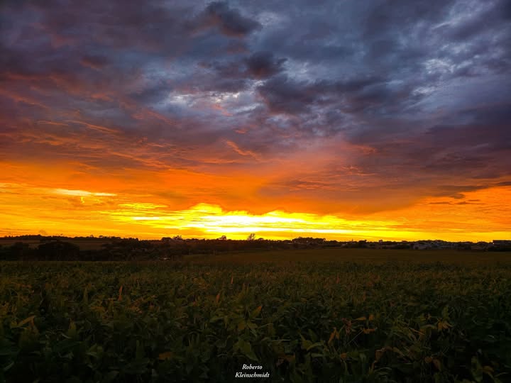 Escreva com sabedoria