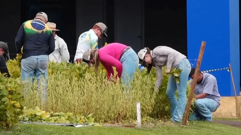 Contagem regressiva para o início do Show Rural 2025; veja as novidades