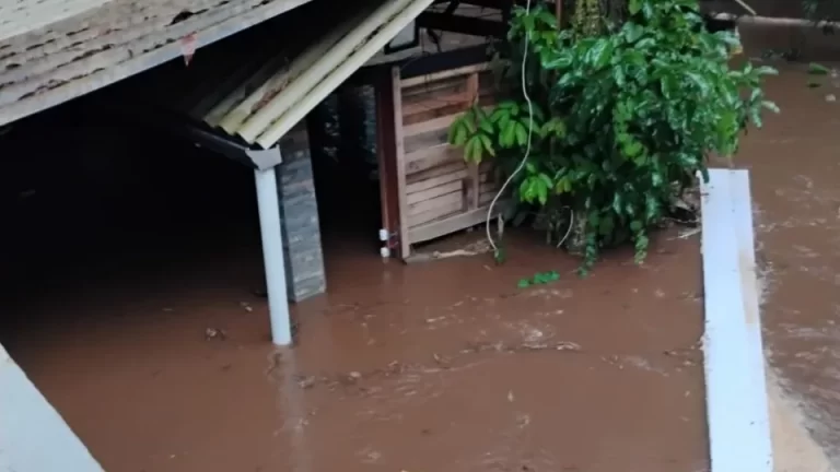 Quase mil famílias foram atingidas pelas fortes chuvas no Paraná