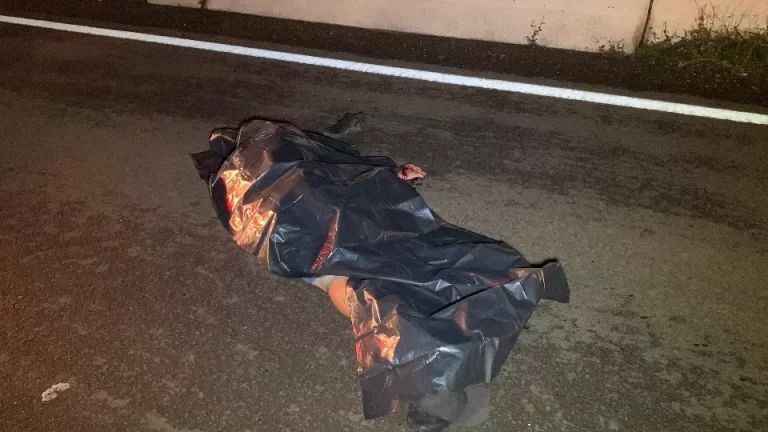 Homem morre atropelado na PR-467