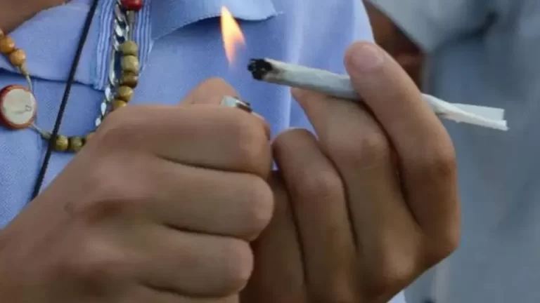 STF mantém descriminalização do porte de maconha para uso pessoal