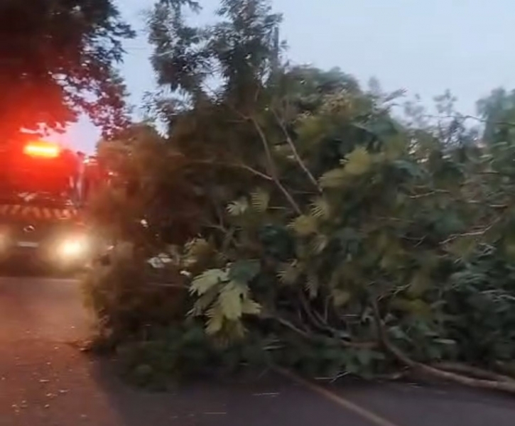 Motorista embriagado desacata bombeiros em ocorrência e acaba preso