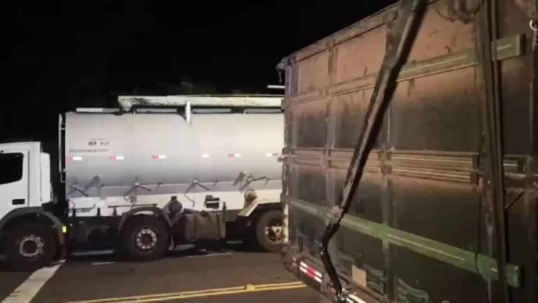 Polícia Militar recupera carga de ração furtada em Toledo