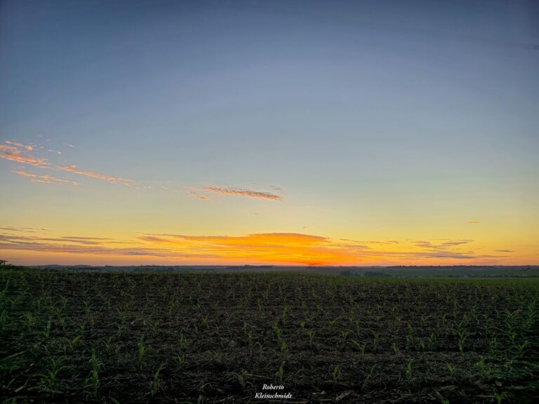 Detalhes, ah, os detalhes!