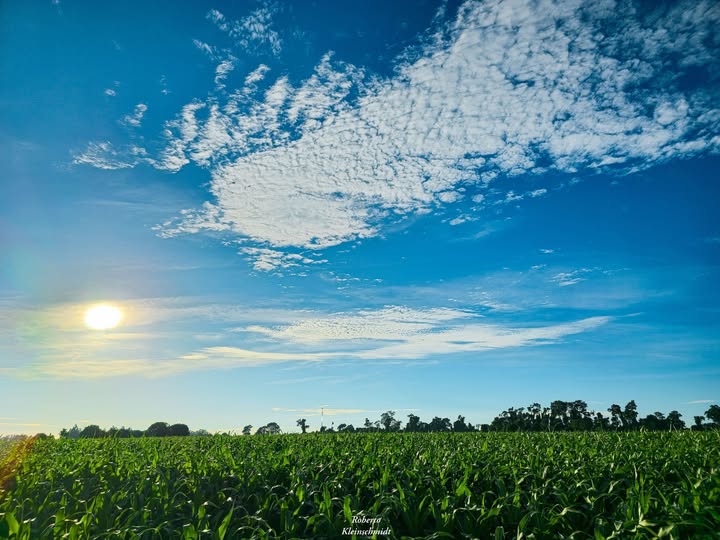 O essencial é invisível aos olhos